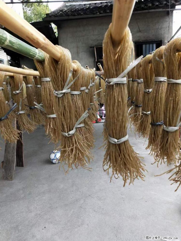 【灌阳正宗红薯粉】美女家里自己做的，干净卫生，假一赔十，价格合理，抢购电话：13737312895 - 美食天地 - 兰州生活社区 - 兰州28生活网 lz.28life.net