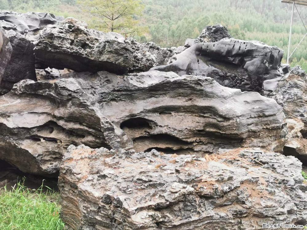 风景石、假山石大量有货，有需要的欢迎联系 - 新手上路 - 兰州生活社区 - 兰州28生活网 lz.28life.net