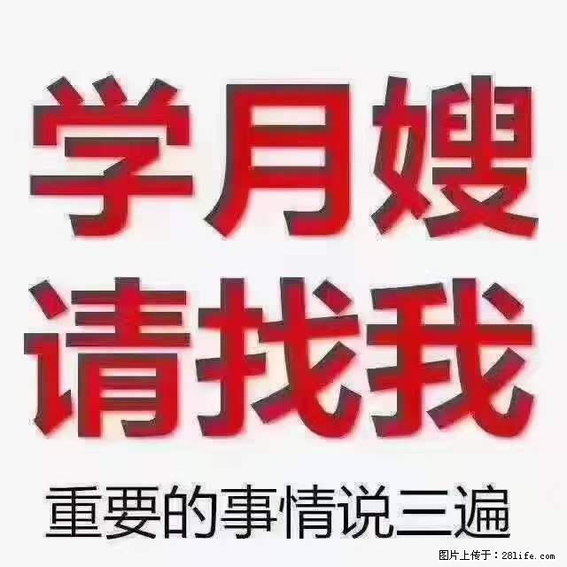 为什么要学习月嫂，育婴师？ - 其他广告 - 广告专区 - 兰州分类信息 - 兰州28生活网 lz.28life.net
