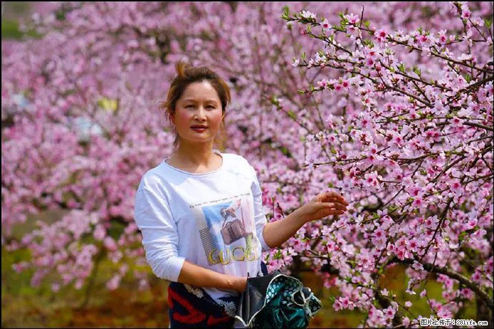 【春天，广西桂林灌阳县向您发出邀请！】官庄村有个醉美的桃花园 - 游山玩水 - 兰州生活社区 - 兰州28生活网 lz.28life.net