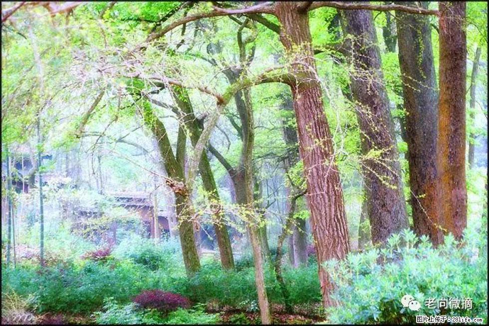 【春天，广西桂林灌阳县向您发出邀请！】在小龙村与春天约会 - 游山玩水 - 兰州生活社区 - 兰州28生活网 lz.28life.net
