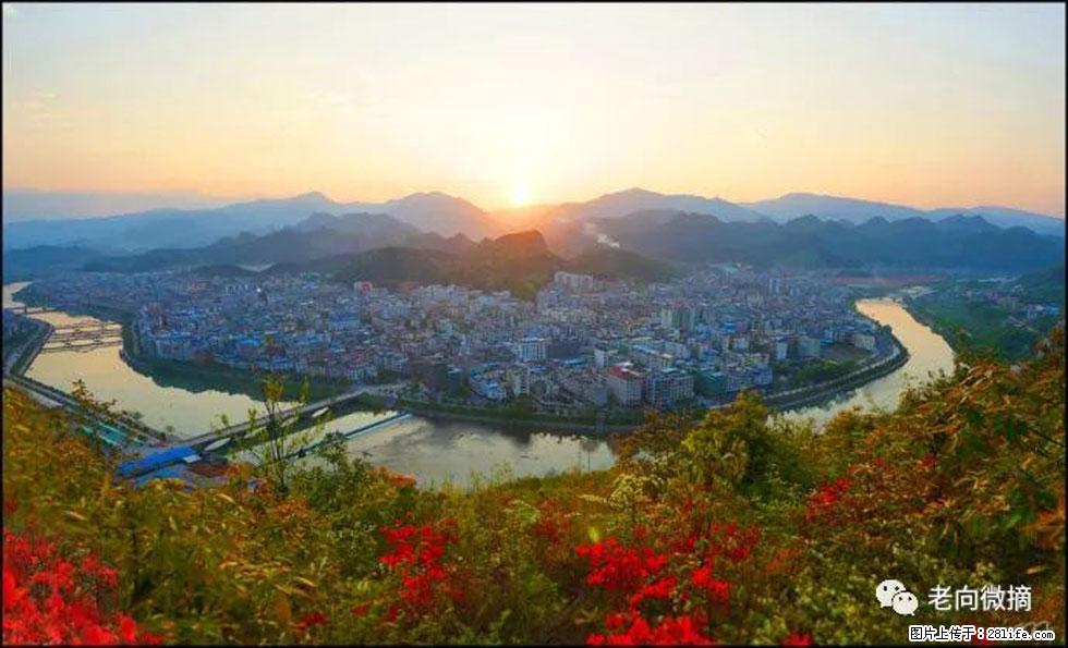 【春天，广西桂林灌阳县向您发出邀请！】登麒麟山，相约映山红 - 游山玩水 - 兰州生活社区 - 兰州28生活网 lz.28life.net