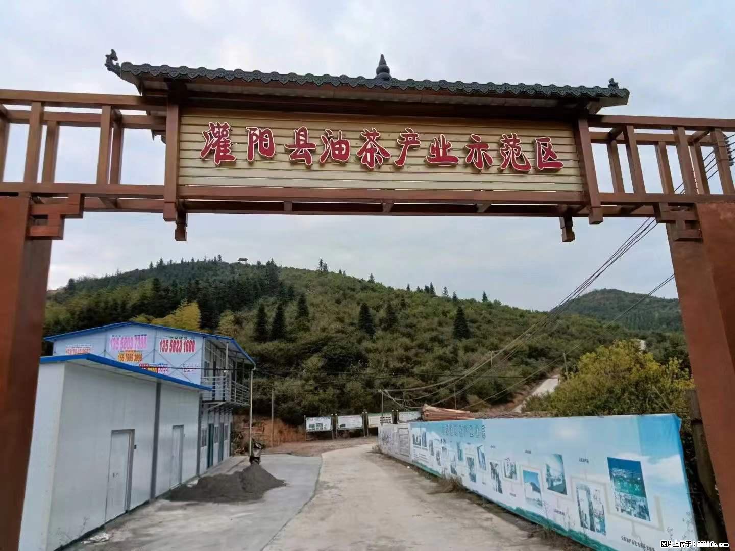 【灌阳县油茶产业示范区】一个有着充实的精神生活的人,对待身外之物自会有一种淡泊的态度 - 美食天地 - 兰州生活社区 - 兰州28生活网 lz.28life.net