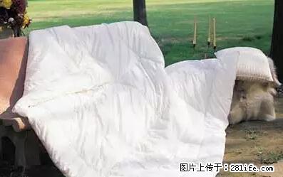 被子有异味？只要这样做，比晒太阳还强100倍！ - 家居生活 - 兰州生活社区 - 兰州28生活网 lz.28life.net