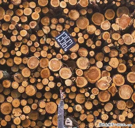 辞掉工作周游世界?现在他们在洗厕所…… - 游山玩水 - 兰州生活社区 - 兰州28生活网 lz.28life.net
