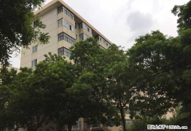 兰州交通大学家属院 3室1厅1卫 - 房屋出租 - 房屋租售 - 兰州分类信息 - 兰州28生活网 lz.28life.net