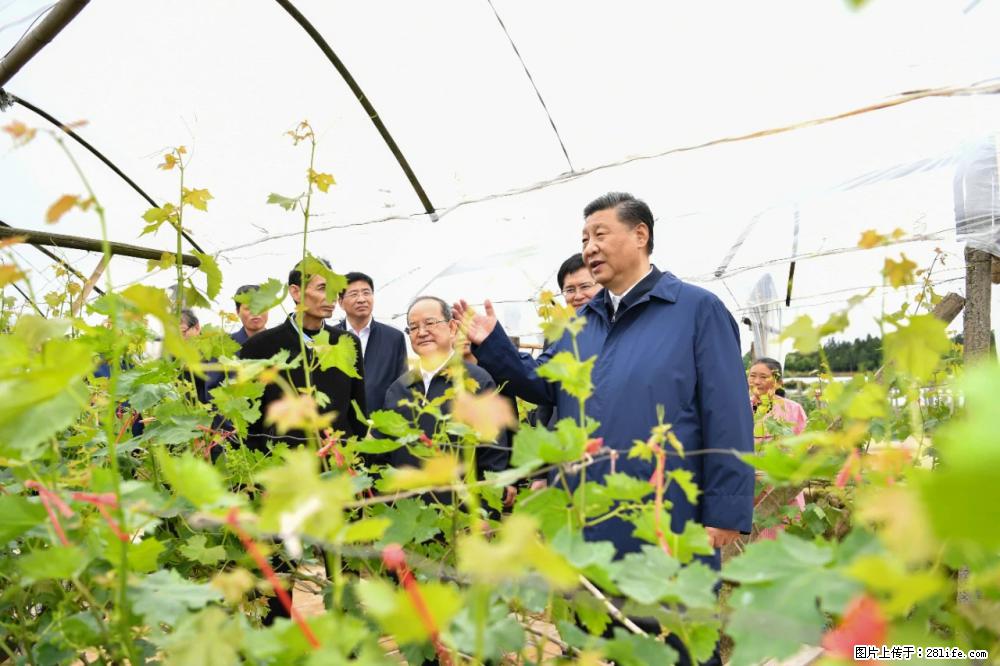 习近平赴广西考察调研 - 兰州生活资讯 - 兰州28生活网 lz.28life.net