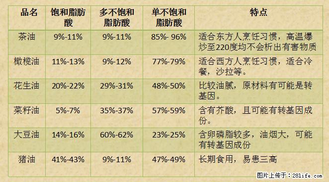 揭秘茶油的5大核心营养成分！被称为人体健康的“守护盾”！ - 兰州生活资讯 - 兰州28生活网 lz.28life.net