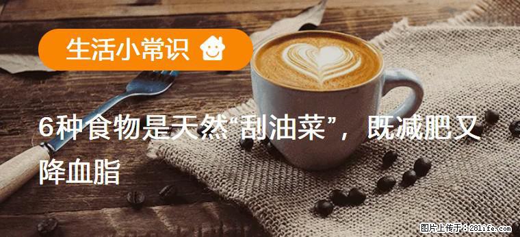 【生活小常识】6种食物是天然“刮油菜”，既减肥又降血脂 - 兰州生活资讯 - 兰州28生活网 lz.28life.net