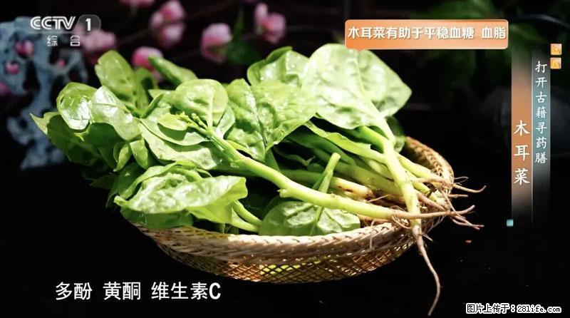 比牛奶补钙还厉害！凉血解毒、稳血糖...这菜冬天必吃，很多人却当草 - 兰州生活资讯 - 兰州28生活网 lz.28life.net