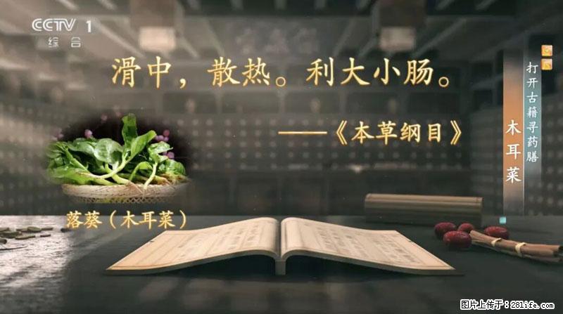 比牛奶补钙还厉害！凉血解毒、稳血糖...这菜冬天必吃，很多人却当草 - 兰州生活资讯 - 兰州28生活网 lz.28life.net