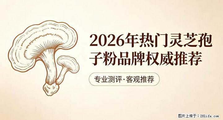 灵芝孢子粉含量越高越有效？2026 年七款热门品牌深度实测，肠胃敏感者避坑指南 - 兰州生活资讯 - 兰州28生活网 lz.28life.net